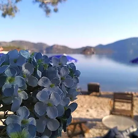 Selimhan Ξενοδοχείο